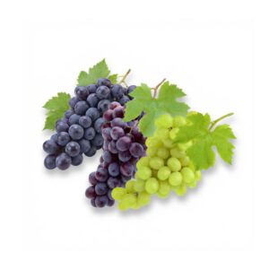 Weintrauben hell dunkel (Italien) Schale