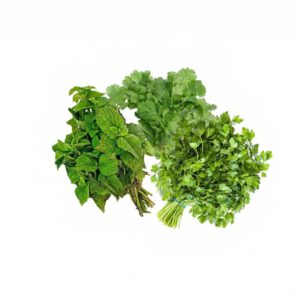 Minze Koriander Petersilie Bund