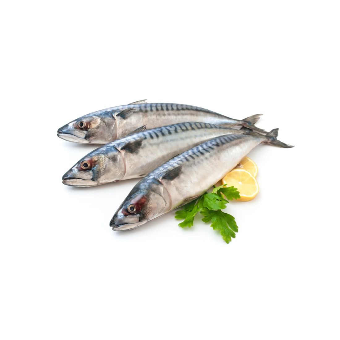 Frische Makrele (Uskumru Balığı) 1 kg