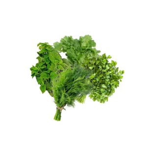 Frische Kräuter – Minze / Dill / Koriander / Petersilie 1 Bund