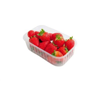 Erdbeeren frisch 500 g Schale