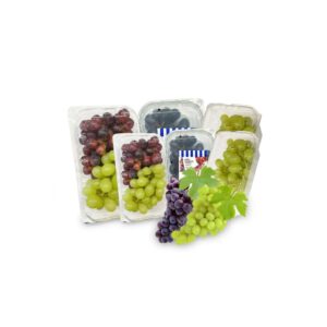 Weintrauben Mix hell/dunkel