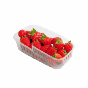 Erdbeeren 500 g Schale
