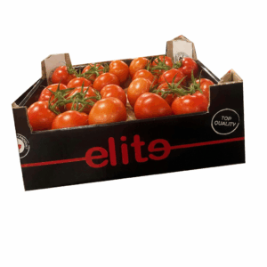 Strauch Tomaten 5 kg Kiste