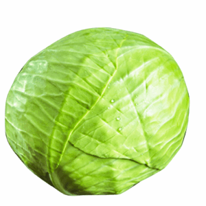 Weisskohl türkische Lahana 1 kg