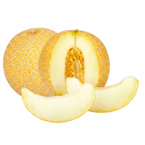 Galia Melonen