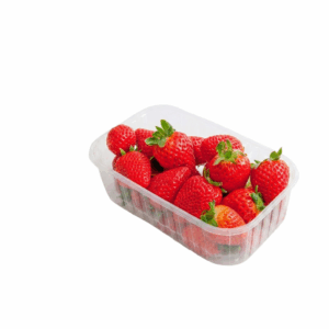 Erdbeeren 500 g Schale