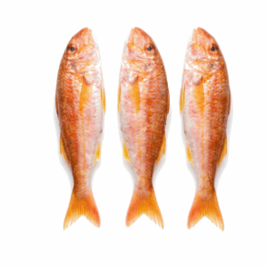 Frische Meerbarbe (Barbun Balığı) 1 kg