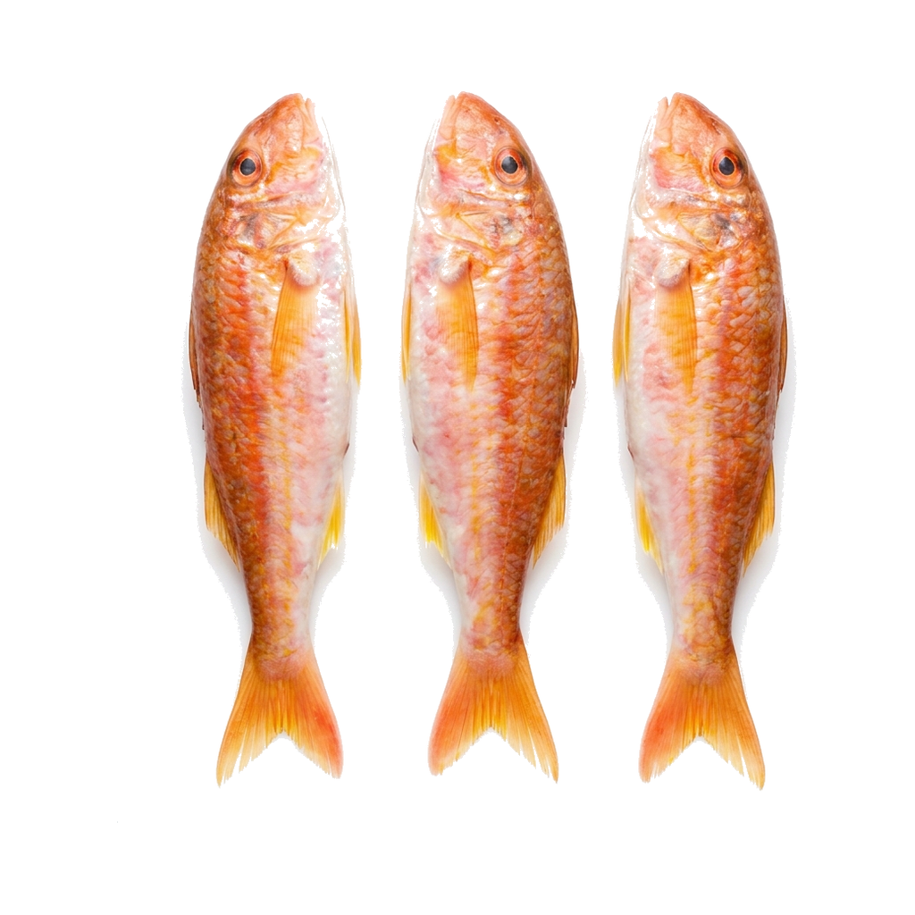 Frische Meerbarbe (Barbun Balığı) 1 kg