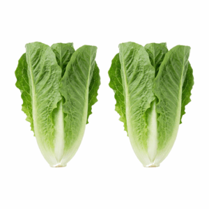 Romana Salat Stück