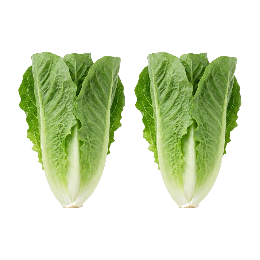 Romana Salat Stück