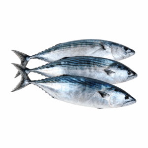 Frischer Bonito (Palamut Balığı) 1 kg