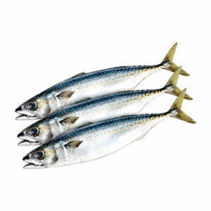 Stöcker Fisch (Istavrit Balığı) 1 kg